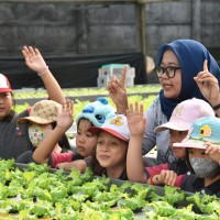 Kegiatan Outdoor Study Kelas II Ke KebunKita Pekanbaru